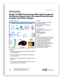 RNA Microglia<br />
Immunity, 2019